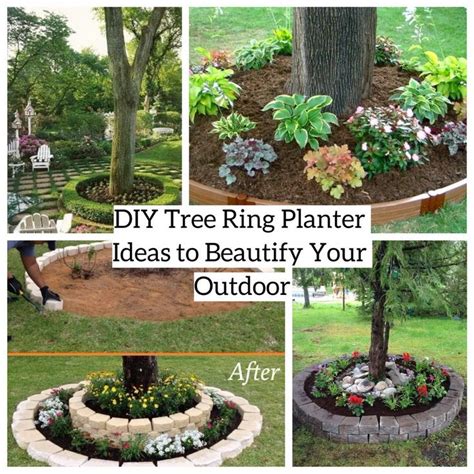 DIY Tree Ring Planter Ideas to Beautify Your Outdoor ~ GODIYGO.COM | Landscaping around trees ...