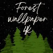 Download Forest wallpaper 4k android on PC