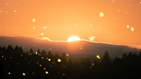 Sun, lens flare, sunlight, sunset, landscape | picture, photo, desktop wallpaper.