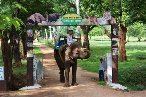 Betla National Park - Jharkhand