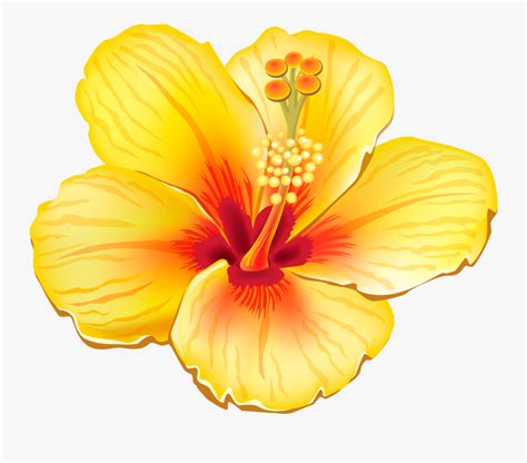 Hawaiian Flowers Clipart Realistic - Yellow Tropical Flower Png , Free Transparent Clipart ...