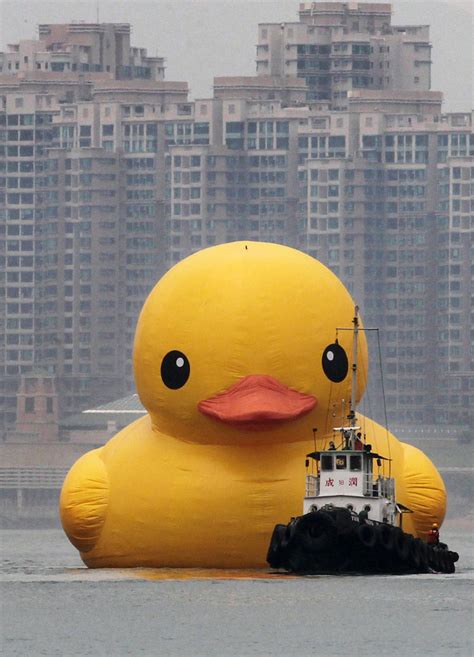 A Gigantic Rubber Duck Makes Its First Visit to China » TwistedSifter