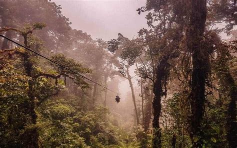 Zip Lining in Monteverde - The Best Places