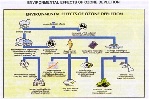 Impacts of Ozone Depletion - Ozone Depletion