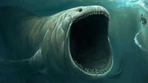 BIGGEST Animal EVER Recorded In The Ocean Depths!? [Video] | Big animals, Ocean depth ...