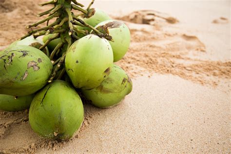 Manfaat Kelapa Hijau Bagi Tubuh yang Perlu Diketahui - Uprint.id