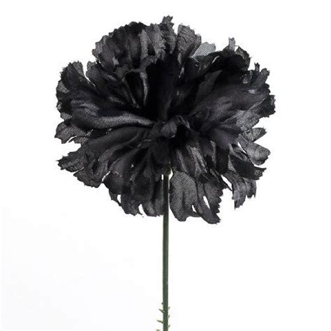 Black carnations available from amazon. | Carnations, Floral supplies, Black flowers