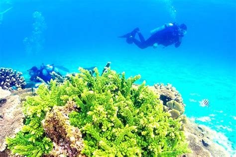 10 Best Things to Do in Hainan, Hainan Attraction: Diving, Surfing…