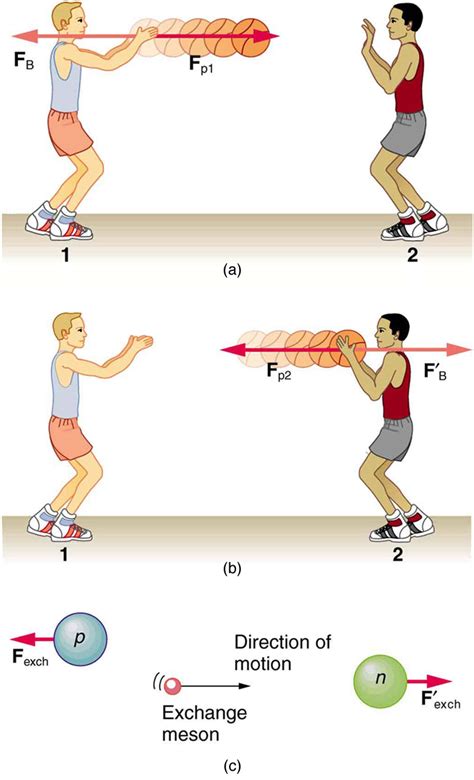 Extended Topic: The Four Basic Forces—An Introduction | Physics | | Course Hero