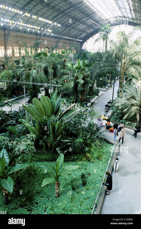 Spain, Madrid, Atocha Station, the palm tree garden Stock Photo - Alamy