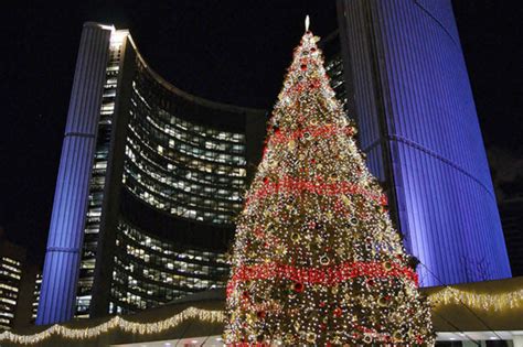 The story of the Toronto City Hall Christmas tree