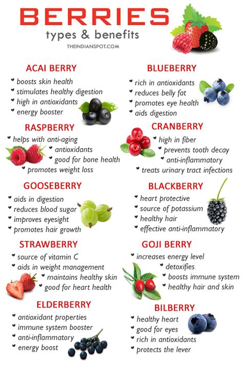 10 Types of Berries and Their Benefits - THE INDIAN SPOT