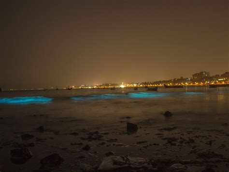 Mumbai’s Juhu Beach Is Glowing Fluorescent In The Dark Once Again & It ...