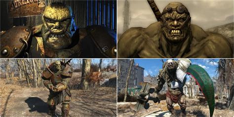 Fallout: Super Mutants, Explained