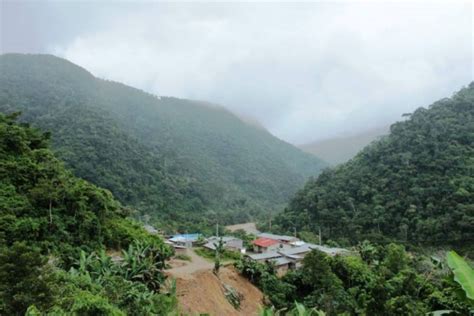 Zona de selva de Puno presentará descenso de temperaturas por heladas y ...