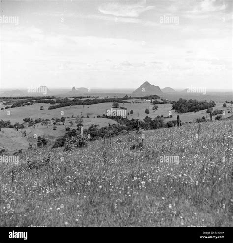 Glass House Mountains, December 1970 Stock Photo - Alamy