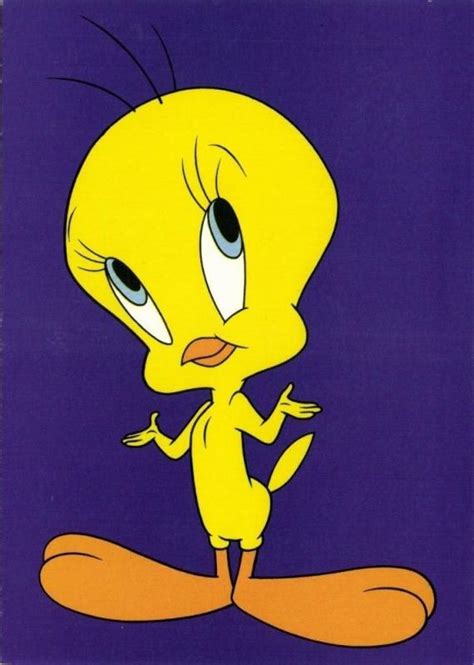 American Animated Cartoon TWEETY BIRD, Looney Tunes (1994) | Topics ...