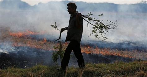 Stubble Burning Keeps Ruining Indian Lives With High Pollution Until Government Decides To Act