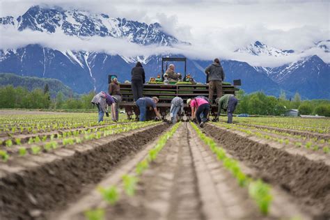 Op-ed: Climate Change Is Bringing Agriculture to the Arctic. Let’s ...