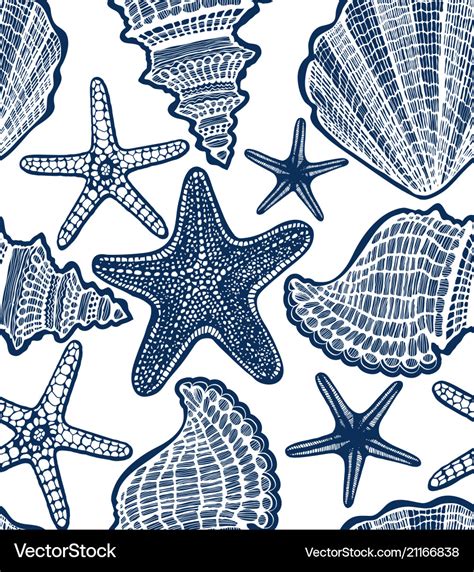 Shell and starfish seamless hand drawn pattern Vector Image