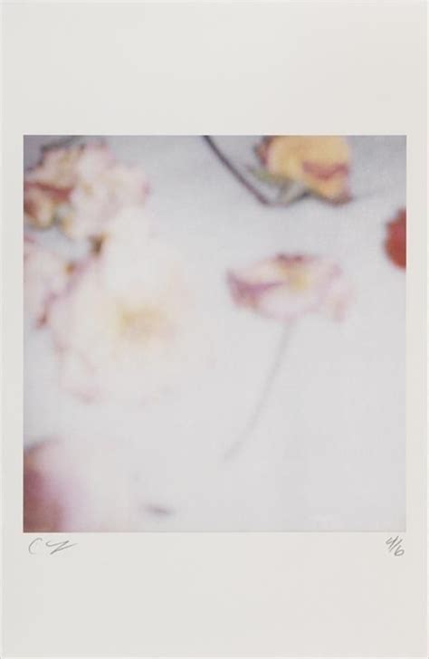 Cy Twombly | Cy twombly, Flower lights, Abstract artists