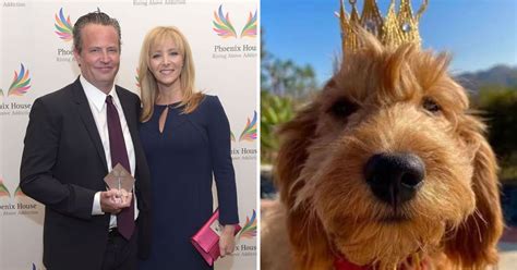 Where is Matthew Perry's dog? Lisa Kudrow is not adopting late 'Friends ...