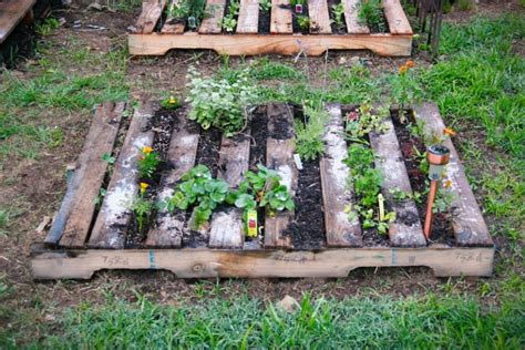 Pallet Vegetable Garden | Pallet Ideas