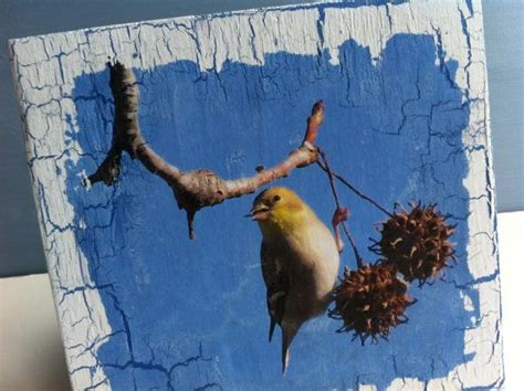 Bird Wall Art MIxed Media Original Bird by NatureAndNauticals | Bird wall art, Mixed media art ...