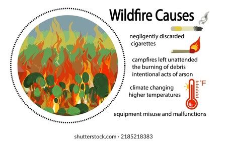 Wildfire Causes Vector Illustration Isolated On Stock Vector (Royalty Free) 2185218383 ...