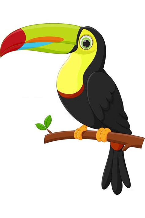 Realistic toucan drawing step by step – Artofit