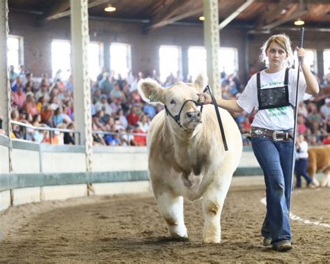 2025 Iowa State Fair Livestock Schedule - Jenda Novelia