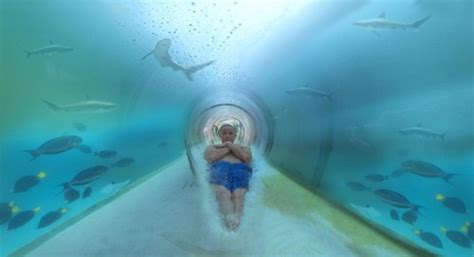 Atlantis Hotel in Dubai's Shark Infested Water Slide | DailyMilk