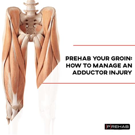 Prehab Your Groin: How To Manage An Adductor Injury - [P]rehab