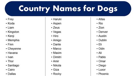 Best Country Names for Dogs – Name Ideas for Your Pet - GrammarVocab