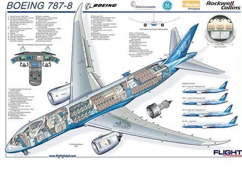 Boeing 787-8 Micro Cutaway Poster, includes aircraft