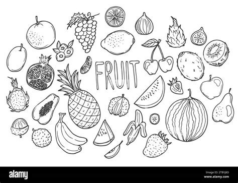 Fruits Doodle Icon Hand Made. Clip Art sketch Vector illustration ...