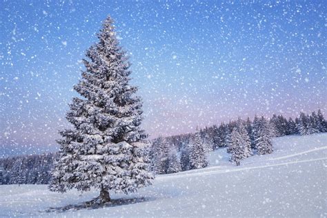 Snow Fall Wallpapers - Top Free Snow Fall Backgrounds - WallpaperAccess