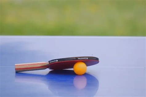 The best butterfly table tennis bats 2024 - test & test winner