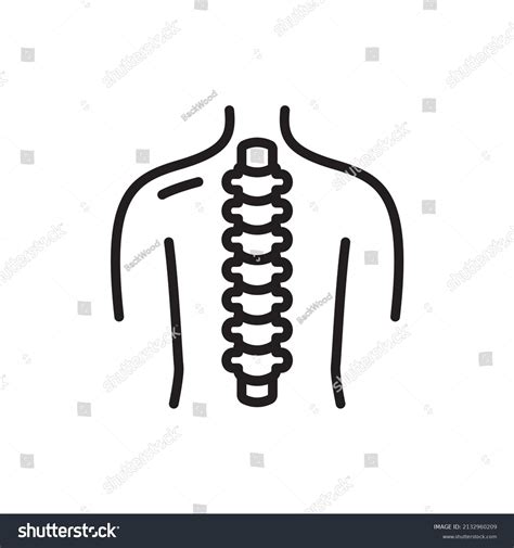 Human Spine Icon Photos and Images | Shutterstock