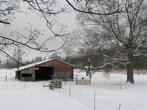 A Meek Perspective: Alabama Snow