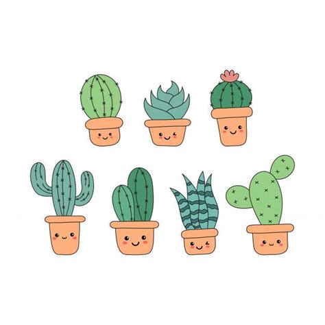 Succulents Drawing Cute