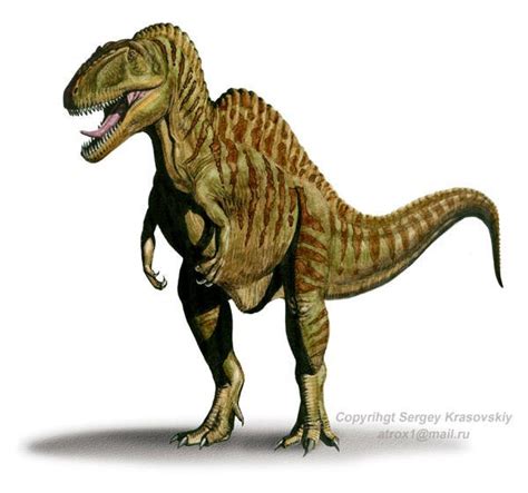 Altispinax Pictures & Facts - The Dinosaur Database