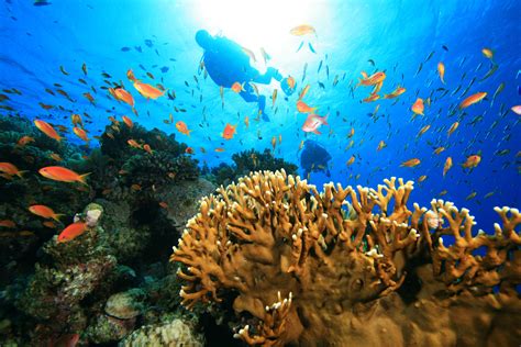 Snorkeling in Andaman | Ashoka India Tours