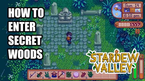 secret woods stardew - Facinate Wave