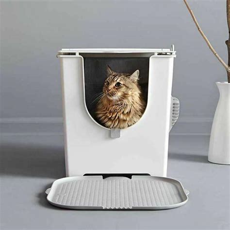 Cat Litter Box With Lid Kitty Covered Pet