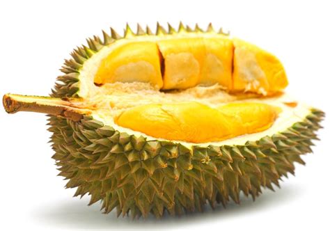 Durian Wallpapers - Wallpaper Cave