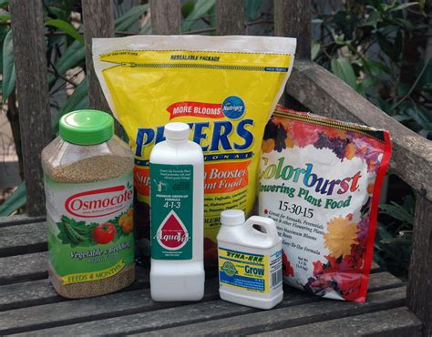 What Kind Of Fertilizer Do You Use On Sunflowers at Wanda Denton blog