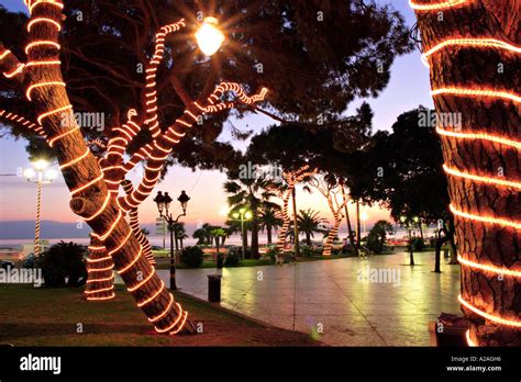 Christmas lights in Albert 1er garden Nice France Stock Photo - Alamy