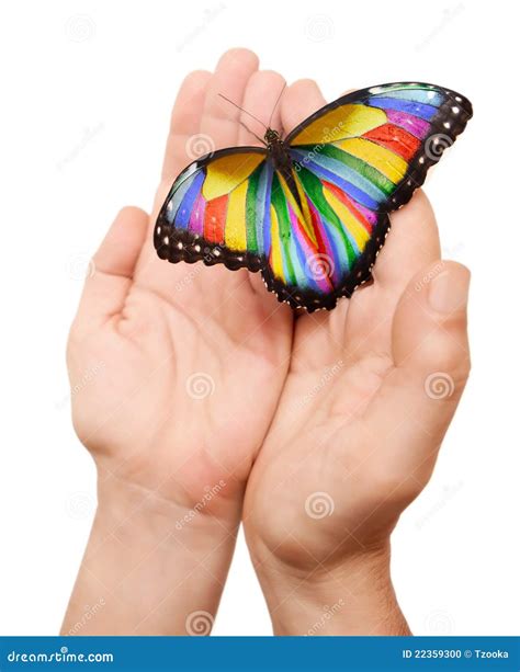 Rainbow Butterfly Stock Photo - Image: 22359300