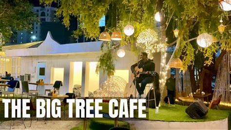 The Big Tree Cafe||Golf Course Road Sec -53||Gurgaon - YouTube